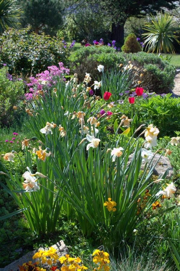 Le Tertre Gatinais Bed & Breakfast Saint-Briac-sur-Mer Bagian luar foto