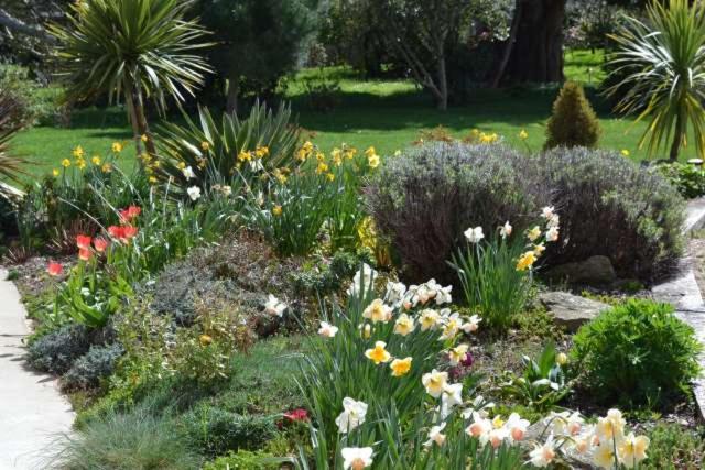 Le Tertre Gatinais Bed & Breakfast Saint-Briac-sur-Mer Bagian luar foto