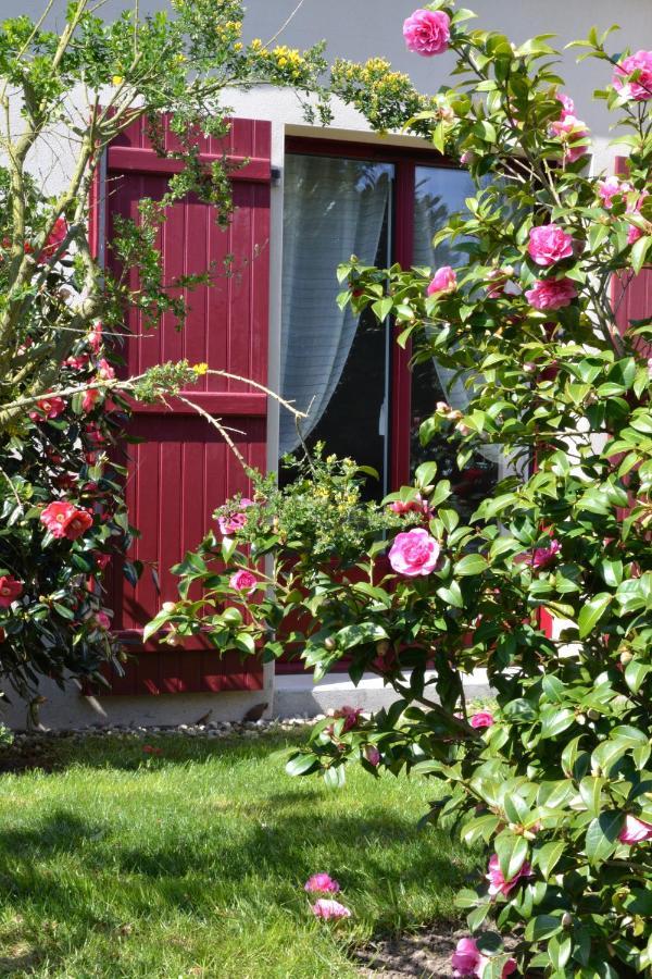 Le Tertre Gatinais Bed & Breakfast Saint-Briac-sur-Mer Bagian luar foto